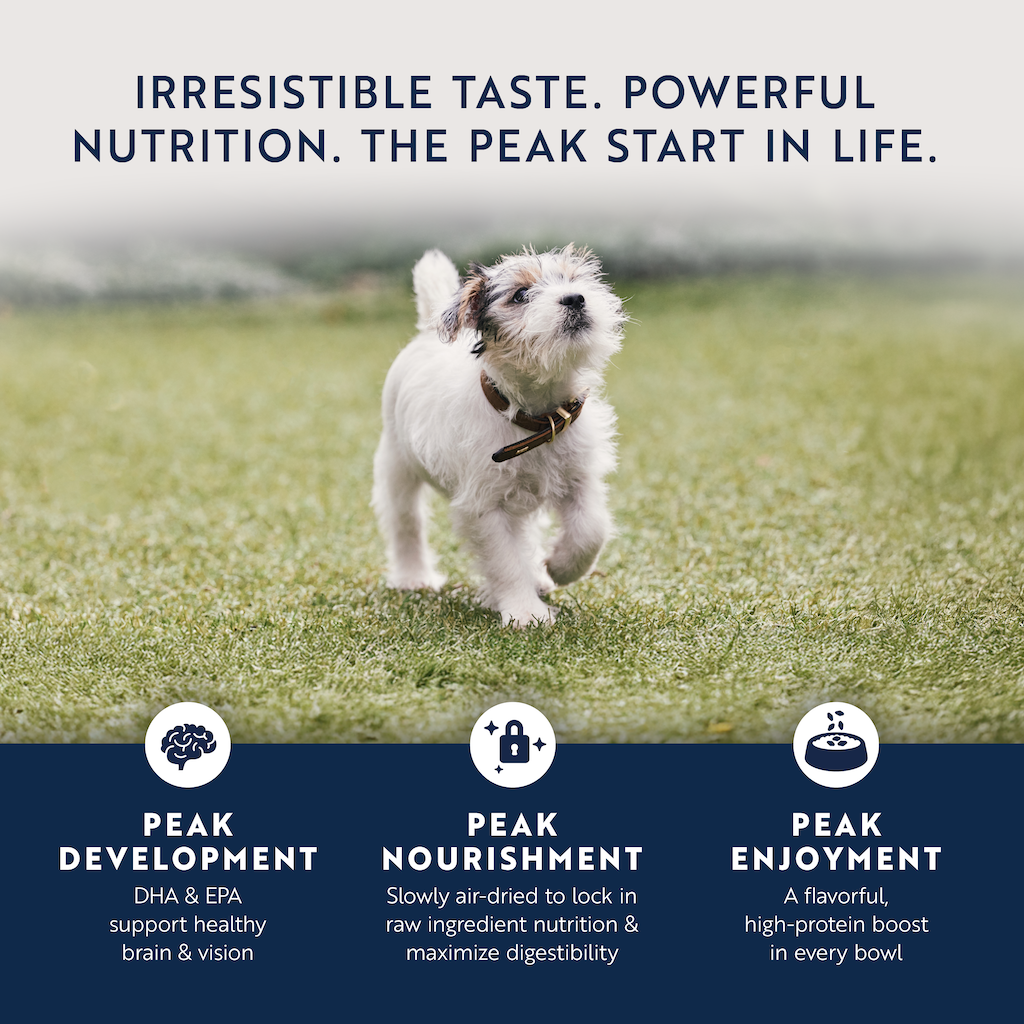 Ziwi Air Dried Chicken & Lamb Recipe Puppy Dry Dog Food