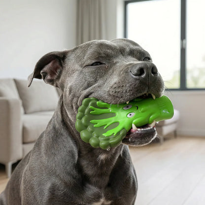 HAPPY STAFFY CO BROCCOLI CRUNCH