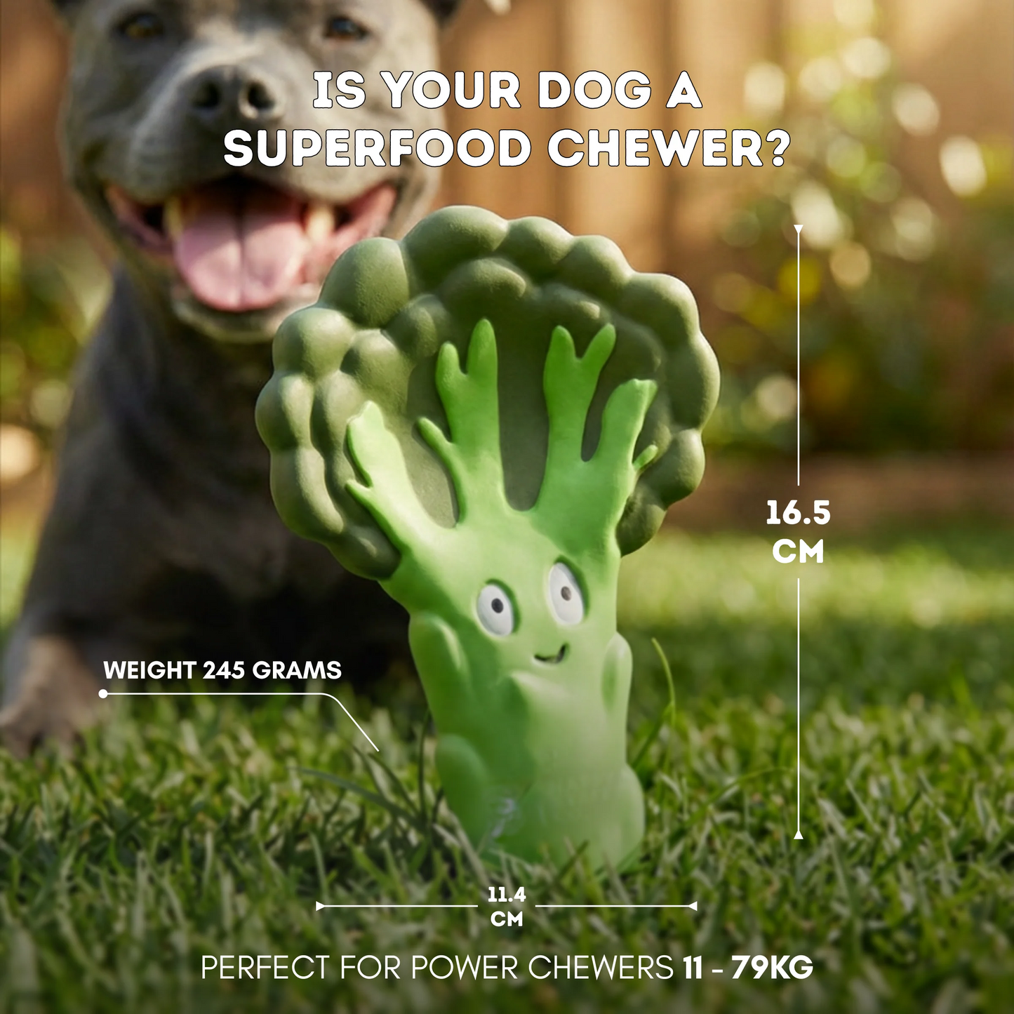 HAPPY STAFFY CO BROCCOLI CRUNCH