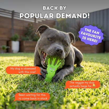 HAPPY STAFFY CO BROCCOLI CRUNCH