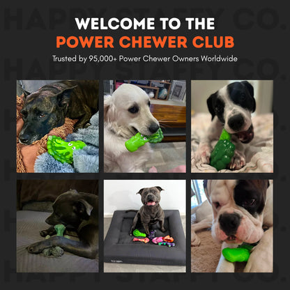 HAPPY STAFFY CO BROCCOLI CRUNCH