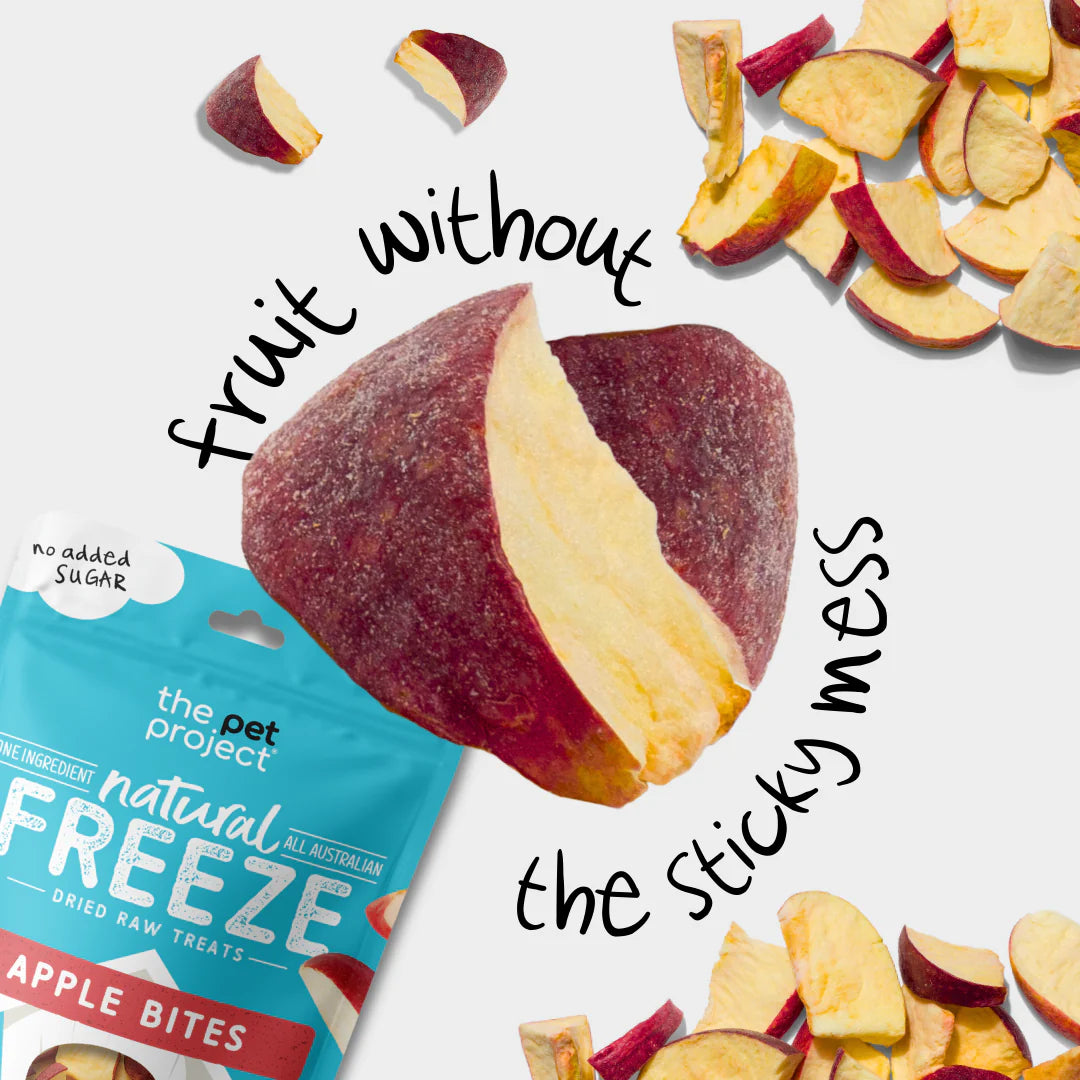THE PET PROJECT APPLE BITES Dog Treats 50g