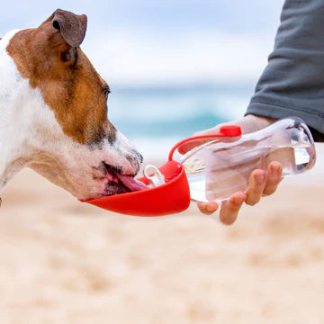 Ezydog Leaf Bottle