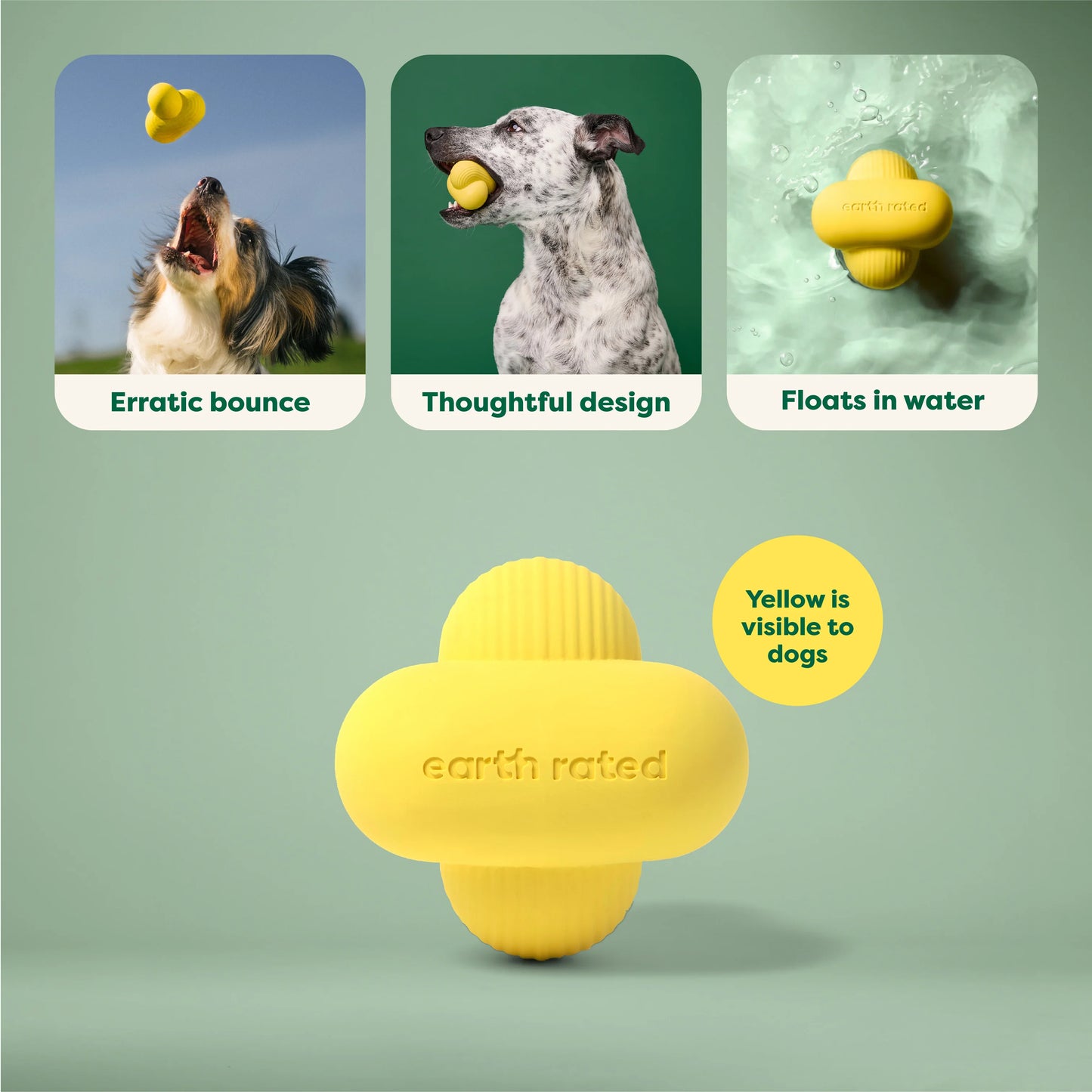 Earth Rated Fetch Toy - Medium