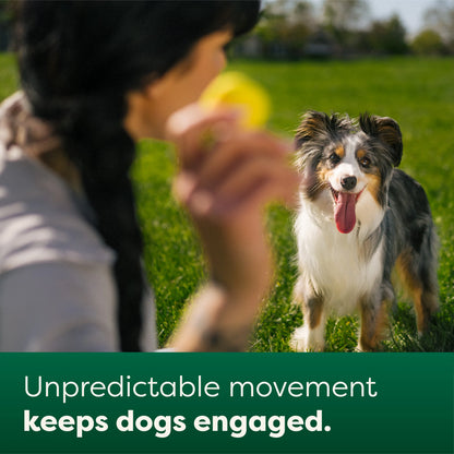 Earth Rated Fetch Toy - Medium