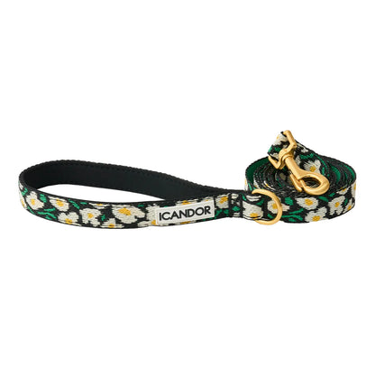iCANDOR Gentle Leash 1.6m 20mm