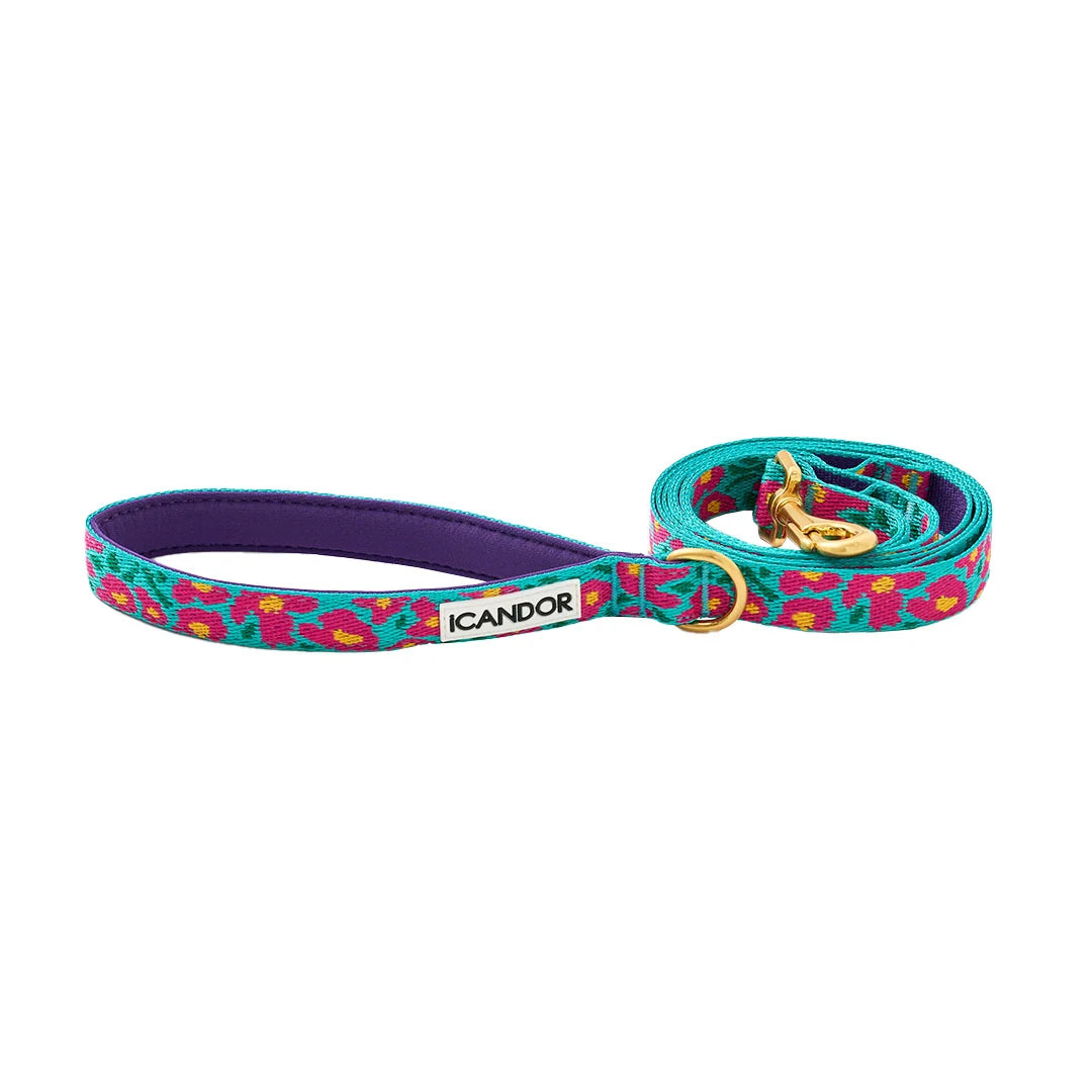 iCANDOR Gentle Leash 1.6m 20mm