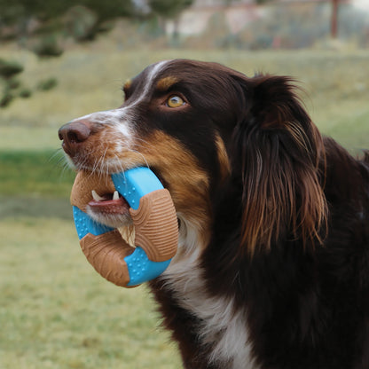 CoreStrength™ Bamboo Bone Large Dog Toy