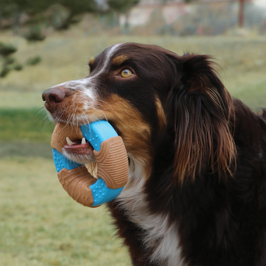 CoreStrength™ Bamboo Ring Large Dog Toy