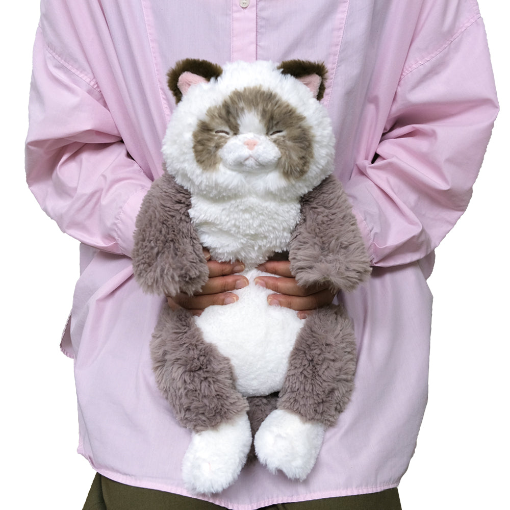 LYING CAT SLEEPING FACE STUFFED TOY M RAGDOLL GYBR