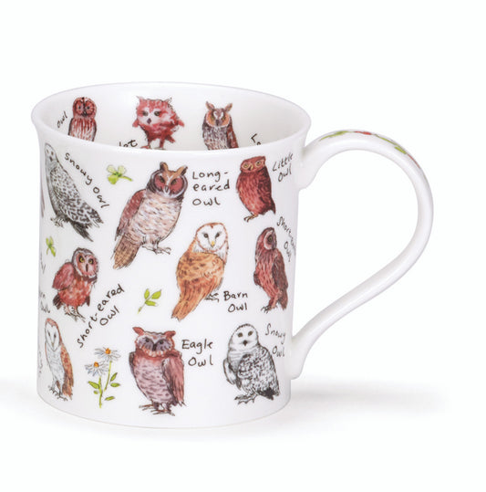 Dunoon Mug Bute Birdlife Owls 300ml