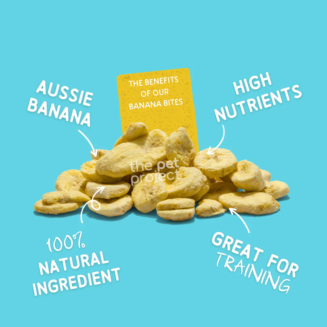 THE PET PROJECT BANANA BITES Dog Treats 50g