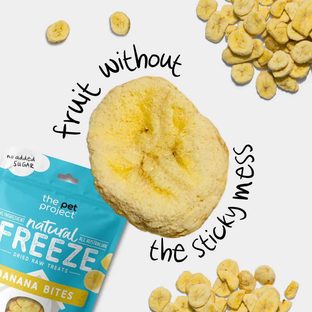 THE PET PROJECT BANANA BITES Dog Treats 50g