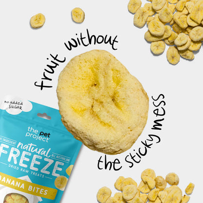 THE PET PROJECT BANANA BITES Dog Treats 50g