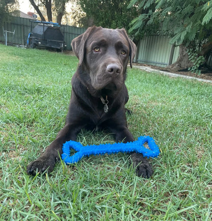 Happy Staffy Co. The Tommy Tug Handle Dog Tug Toy