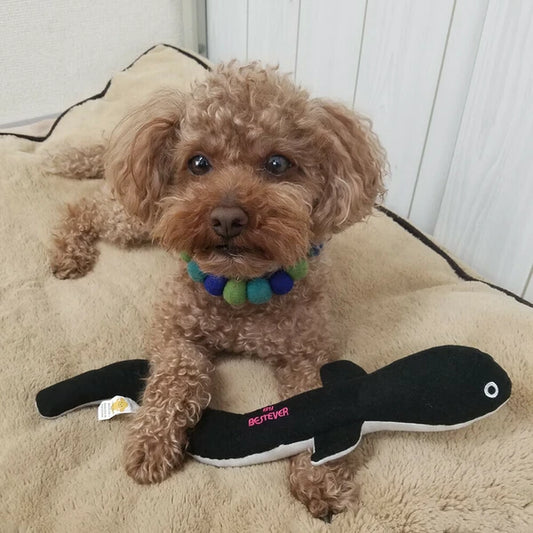 Big Eel Sound Pet Toy | LOVE PETS by BESTEVER