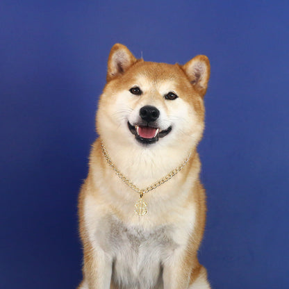 Bling Dollar Sign Pet Necklace
