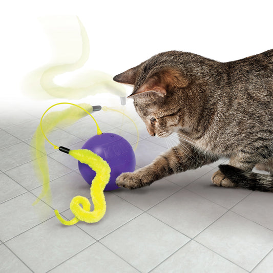 KONG CAT PURRSUIT WHIRLWIND Cat Toy