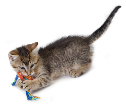 PETSTAGES CATNIP DENTAL HEALTH TOY 2PK