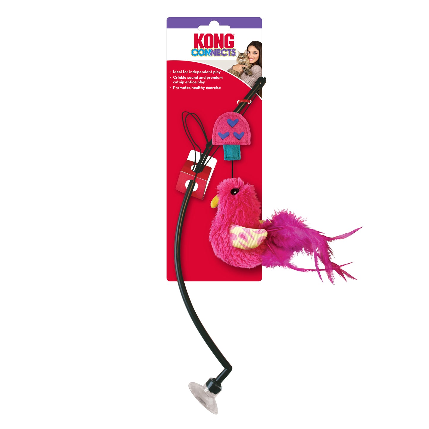 KONG Connects Window Cat Teaser (Assorted)