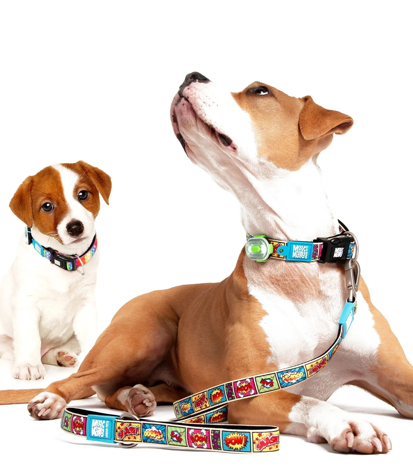 MAX & MOLLY GOTCHA! Smart ID Collar - Comic