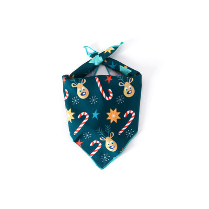 Pet Christmas Hat & Bandana Set