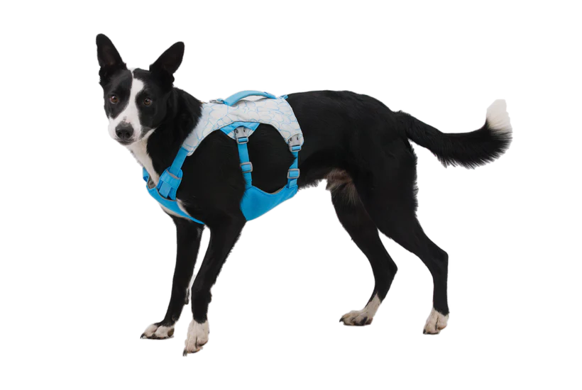 Ruffwear Swamp Cooler Harness Biolumin Blue