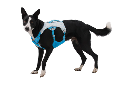 Ruffwear Swamp Cooler Harness Biolumin Blue