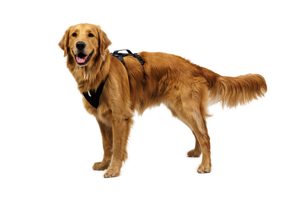 (2026 NEW) RUFFWEAR Ridgeline Harness Obsidian Black