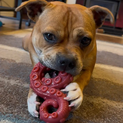 Happy Staffy Co. Chewzilla® Deep Sea Mission Dog Chew Toys