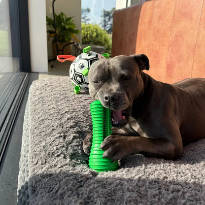 Happy Staffy Co. Crocodile Dental Chew Toy