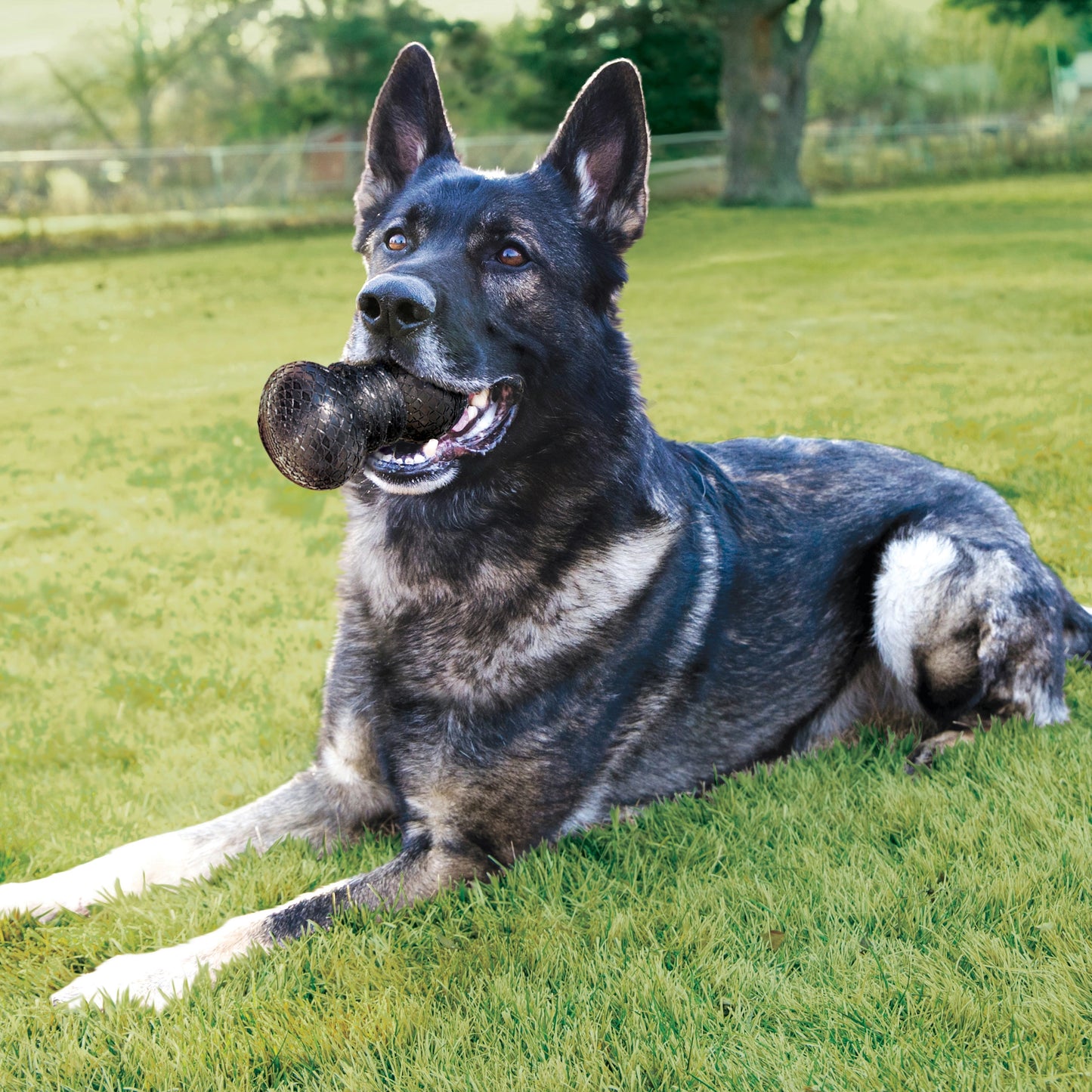 KONG DuraMax Dog Ball Large