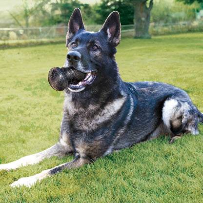 KONG DuraMax Dog Ball Large