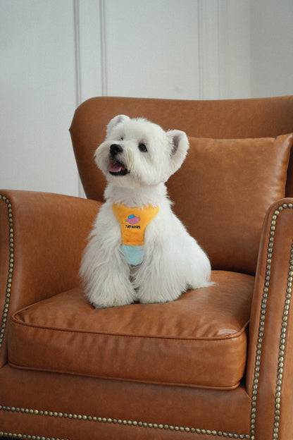 Plush Small Dog Harness - Yellow