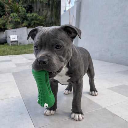 Happy Staffy Co. Crocodile Dental Chew Toy