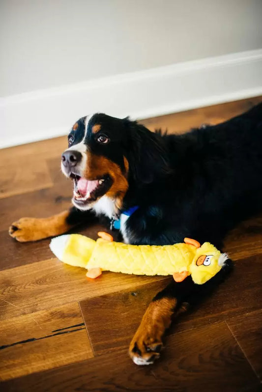 ZIPPYPAWS JIGGLERZ - DUCK