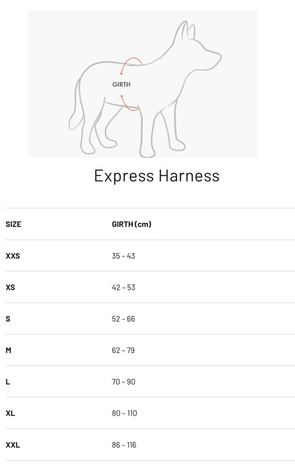 Ezydog Express Harness - Black