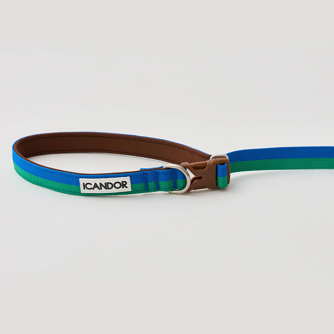iCANDOR Gentle Leash Bolt, Long | Multi-Way Adjustable Dog Lead 1.3-2.3m
