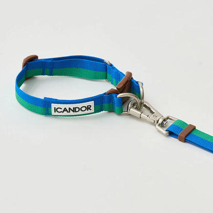 iCANDOR Gentle Leash Bolt, Long | Multi-Way Adjustable Dog Lead 1.3-2.3m