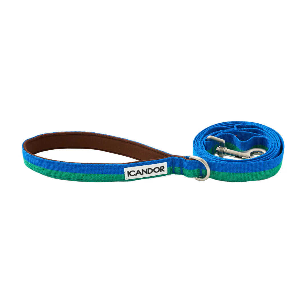iCANDOR Gentle Leash 1.6m