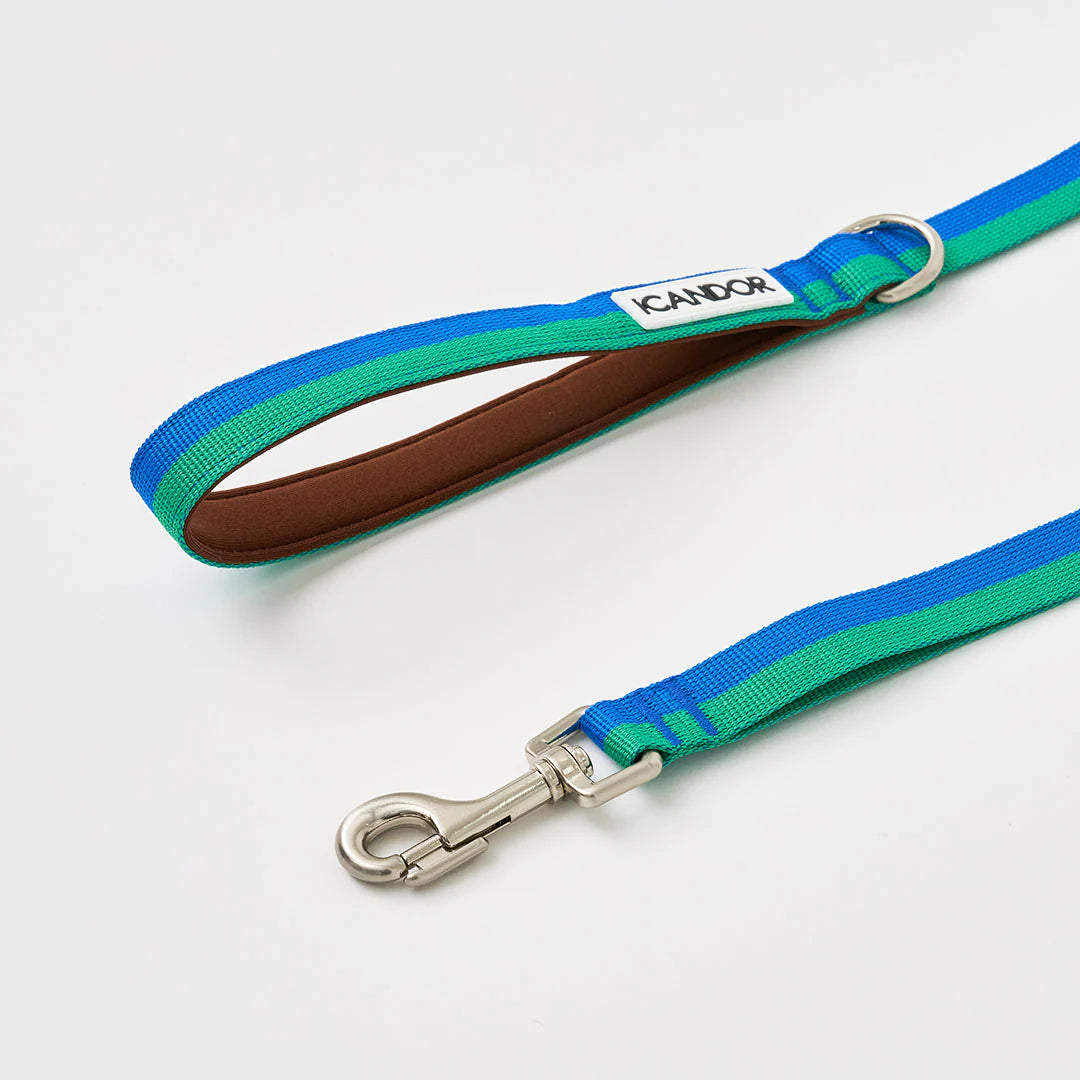 iCANDOR Gentle Leash 1.6m