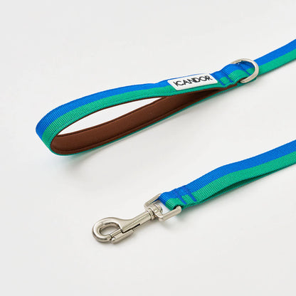 iCANDOR Gentle Leash 1.6m