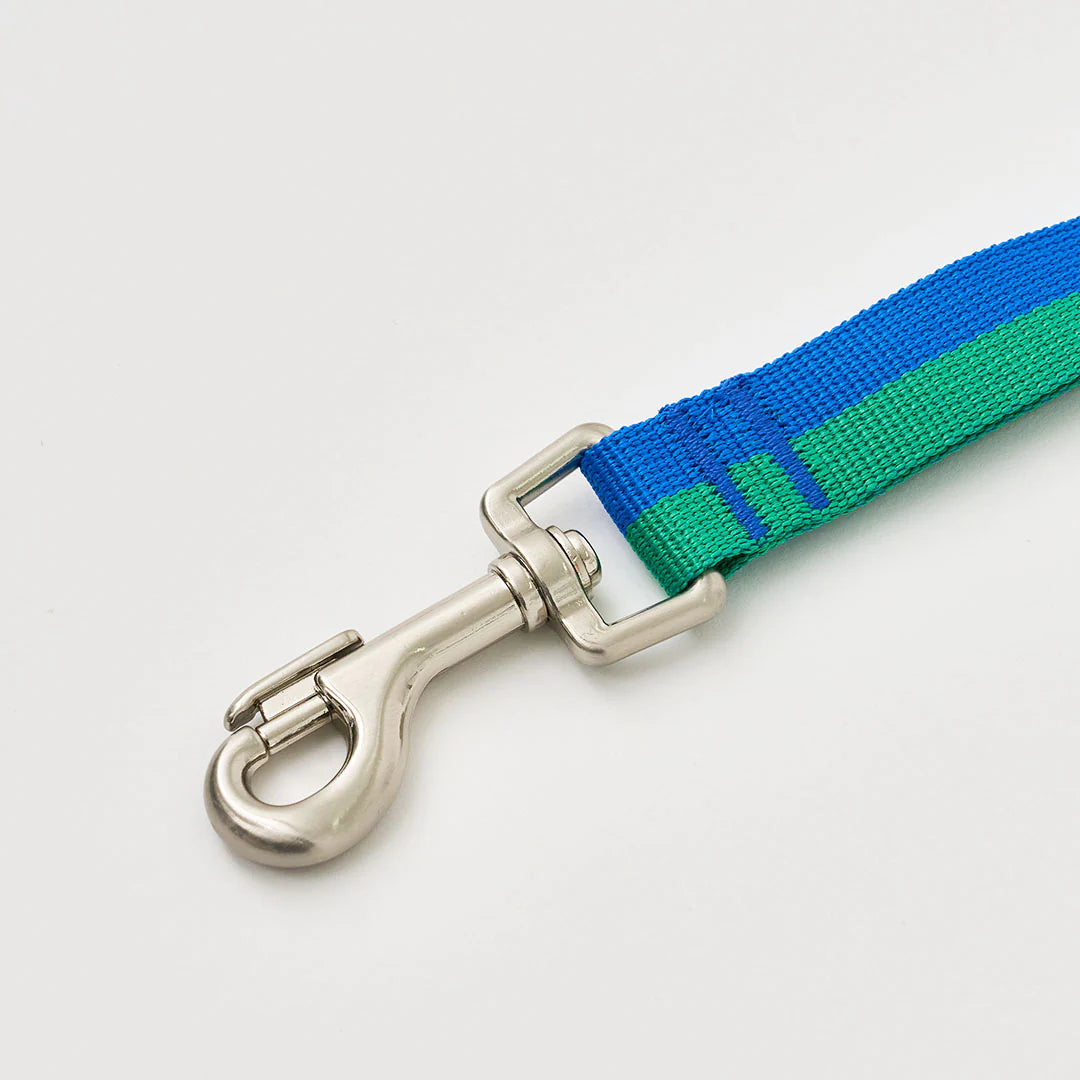 iCANDOR Gentle Leash 1.6m