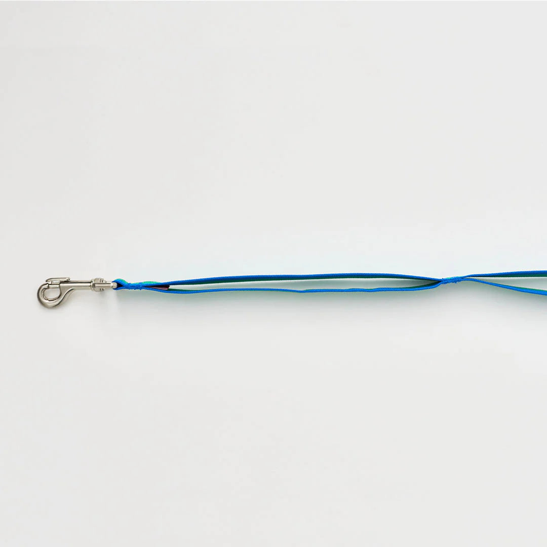iCANDOR Gentle Leash 1.6m