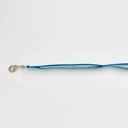 iCANDOR Gentle Leash 1.6m
