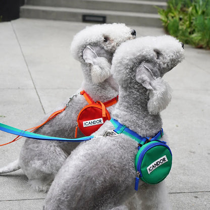 iCANDOR Gentle Leash 1.6m