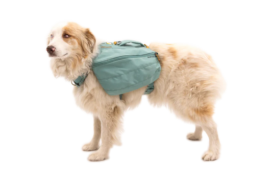 Ruffwear Front Range™ Day Pack (Dog Pack)