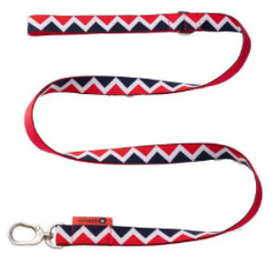 Rainbow Series Dog Leash