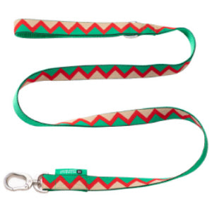 Rainbow Series Dog Leash
