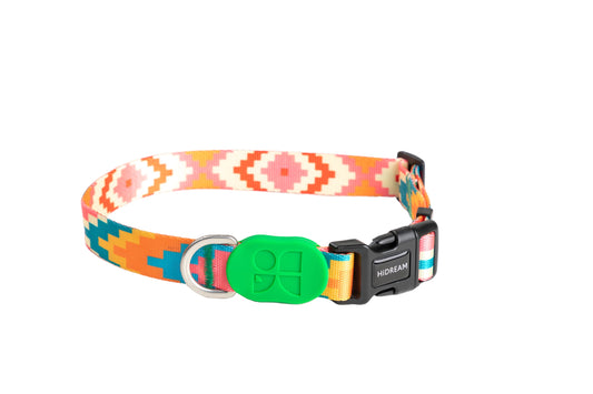 Colorful Series Dog Collar - Florida